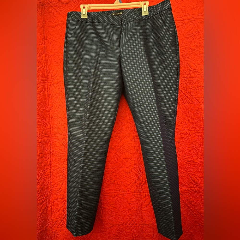 Blue Women’s Trousers by Express